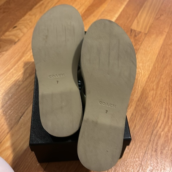 Coach slides - Picture 2 of 4